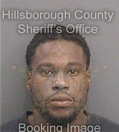 Aaron Mobleyweeks, - Hillsborough County, FL 