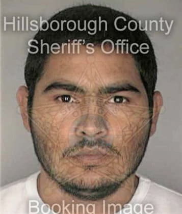 Pedro Morales, - Hillsborough County, FL 