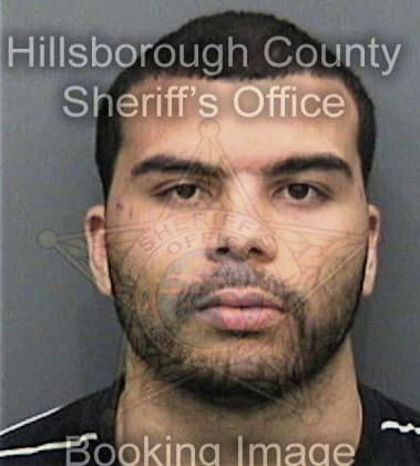 Edwin Simmons, - Hillsborough County, FL 