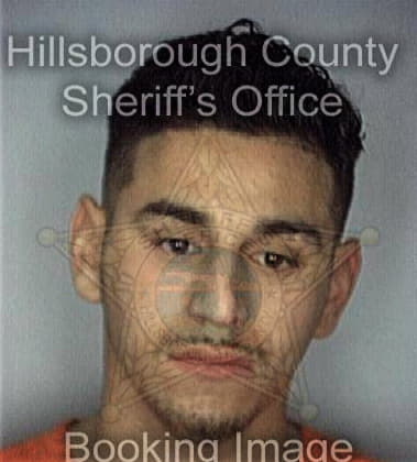 Michael Damiata, - Hillsborough County, FL 