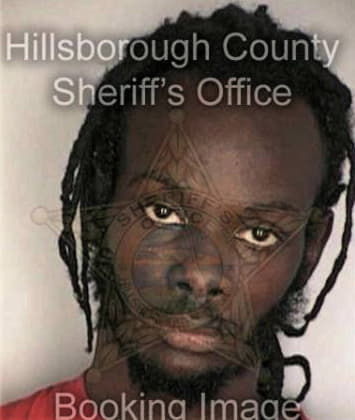 Kenneth McCrary - Hillsborough County, FL 