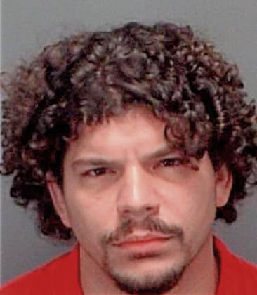 Leonardo Vallejo, - Pinellas County, FL 