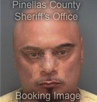 Rodemiro Vasquezmorales, - Pinellas County, FL 