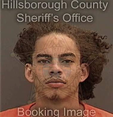 Anastacio Albaradodeleon, - Hillsborough County, FL 