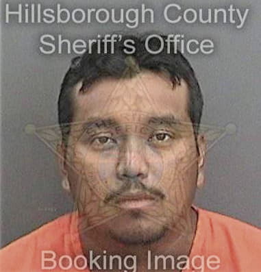 Christopher Burnsed, - Hillsborough County, FL 