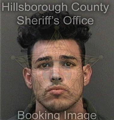 Jesus Garcia-Martinez, - Hillsborough County, FL 