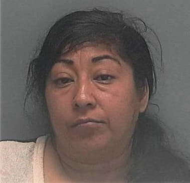 Elina Lao, - Lee County, FL 