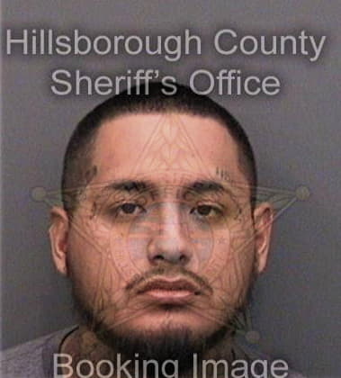 Brian Mertely - Hillsborough County, FL 