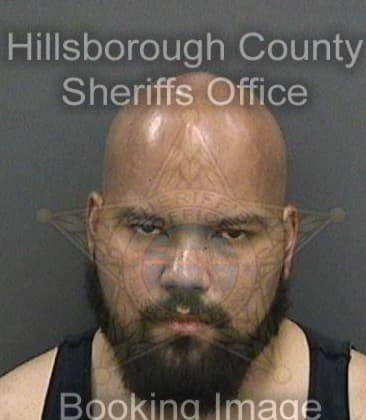 Derek Steenis, - Hillsborough County, FL 