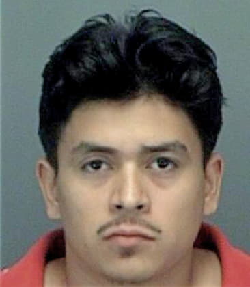 Omar Acostahernandez, - Pinellas County, FL 