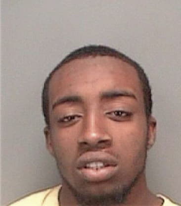 Brandon Brown, - Pinellas County, FL 