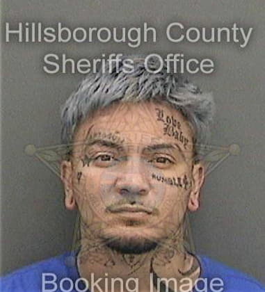 Braulio Diaz, - Hillsborough County, FL 