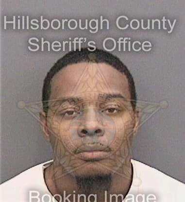 Linzell Feagin, - Hillsborough County, FL 