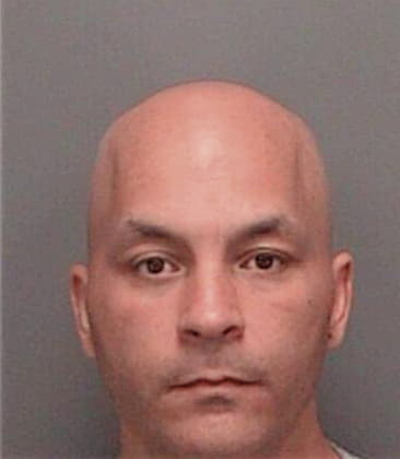 Jonathon Ferrera, - Pinellas County, FL 