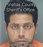 Robert Greiner, - Pinellas County, FL 