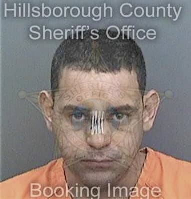 Michael Haight, - Hillsborough County, FL 