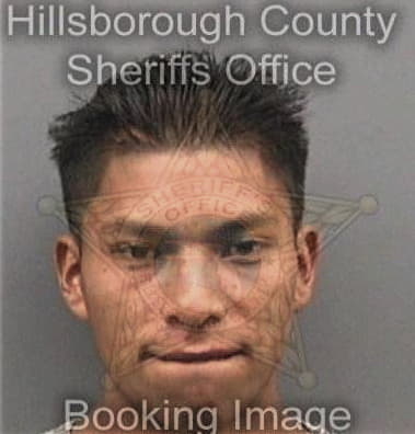 Patrick Roark - Hillsborough County, FL 
