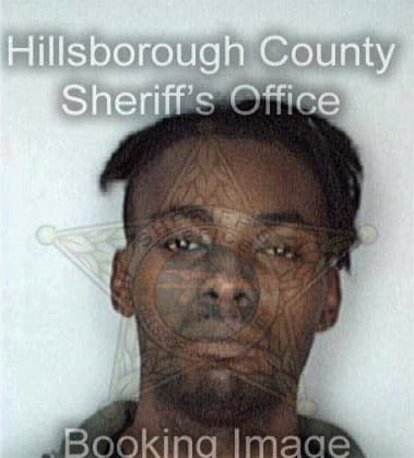 Michael Roberts - Hillsborough County, FL 