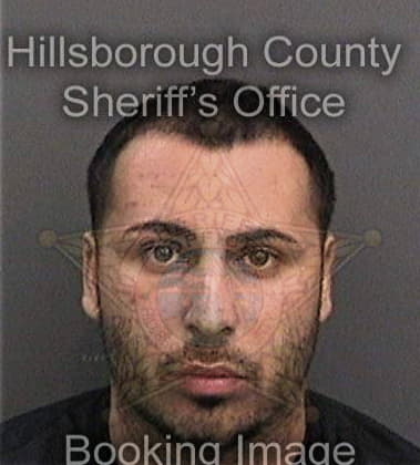 Joshua Robertson - Hillsborough County, FL 