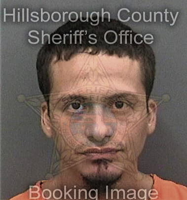 Zachary Stitz, - Hillsborough County, FL 