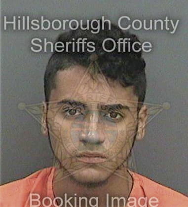 Ryan Swan, - Hillsborough County, FL 