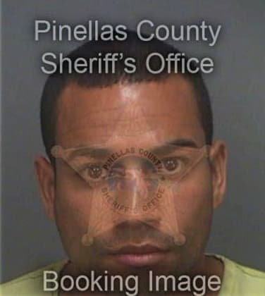 Daniel Cardenascarranza, - Pinellas County, FL 