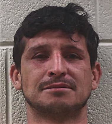 Francisco Hernandez, - Pickens County, GA 