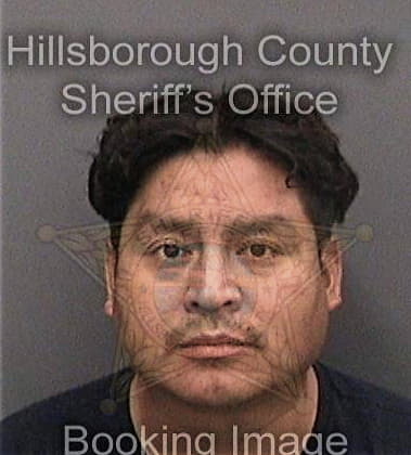 Henry Ryan, - Hillsborough County, FL 