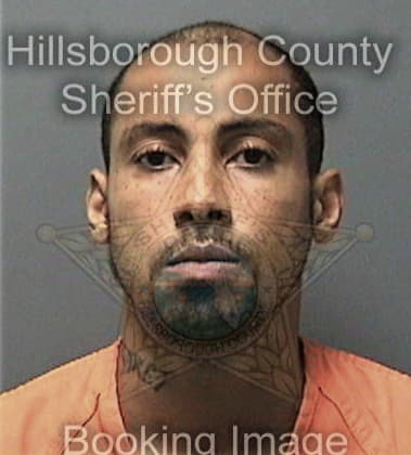 Nathan Seaman, - Hillsborough County, FL 