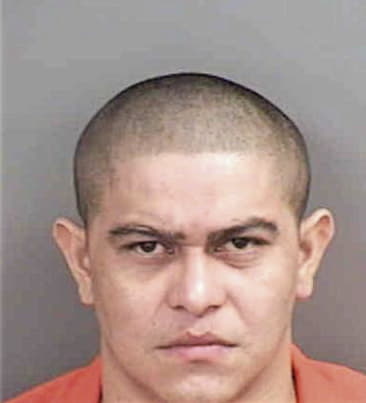 Fernando Sosa, - Collier County, FL 