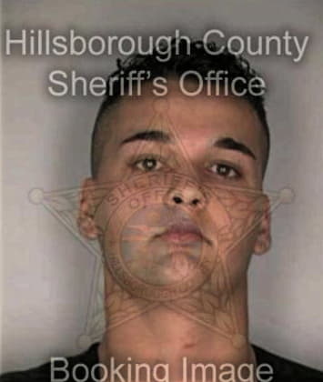 Robert Johnson, - Hillsborough County, FL 