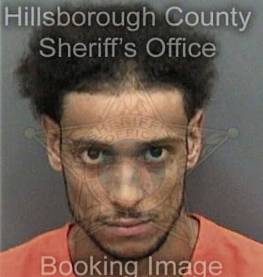 Timothy Quintero, - Hillsborough County, FL 