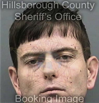 Amir Asobar, - Hillsborough County, FL 