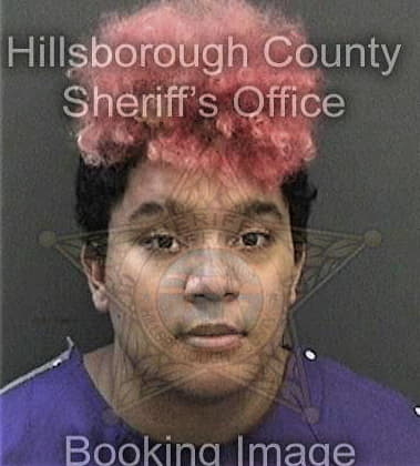 Gustavo Godinezmoctezuma, - Hillsborough County, FL 