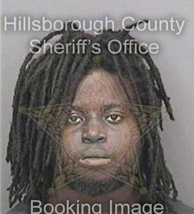 Antione Hankerson, - Hillsborough County, FL 