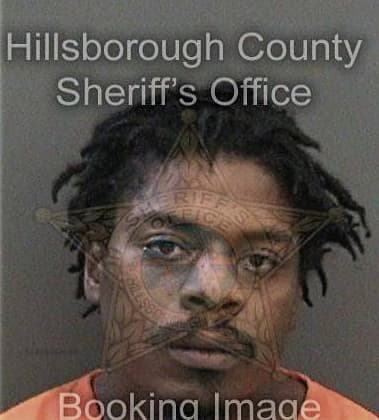 Reynard McKinley - Hillsborough County, FL 