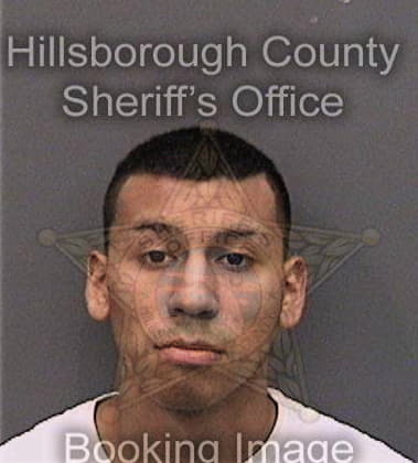 Joshua Reece, - Hillsborough County, FL 