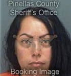 Naylan Garces-Santiago, - Pinellas County, FL 