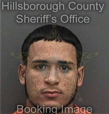 Tomaso Santucci, - Hillsborough County, FL 