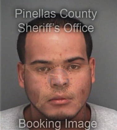 Xavier Springer - Pinellas County, FL 