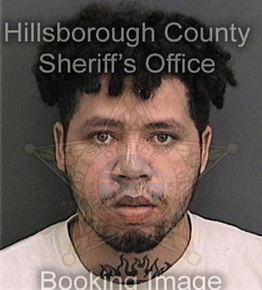 Diamonte Brown, - Hillsborough County, FL 