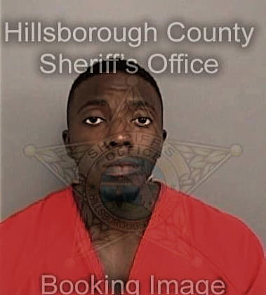 Michael Chaney, - Hillsborough County, FL 