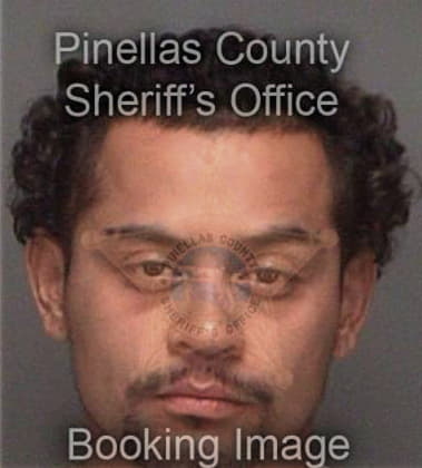 Juan Fernadez, - Pinellas County, FL 