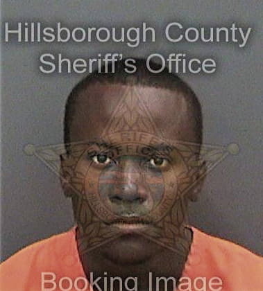 Alex Henry - Hillsborough County, FL 