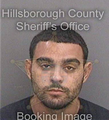 Michael Kent, - Hillsborough County, FL 