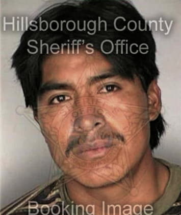 Norman Miller - Hillsborough County, FL 