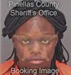Juanita McKinnon - Pinellas County, FL 
