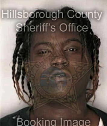 Alton McLeish - Hillsborough County, FL 