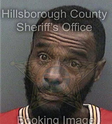 Michael McMillon - Hillsborough County, FL 