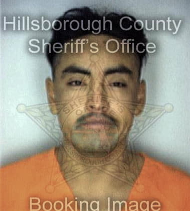 Renaldo Nunez, - Hillsborough County, FL 